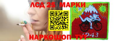 гидра Донецк