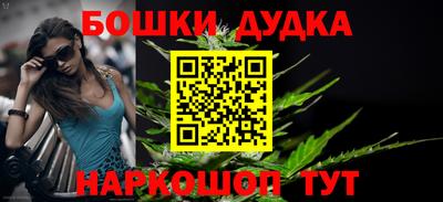 гидра Донецк