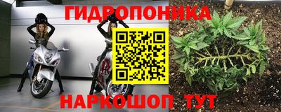 ПСИЛОЦИБИНОВЫЕ ГРИБЫ Донской